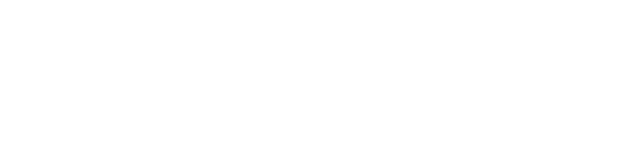Wordpress Logo 1 White