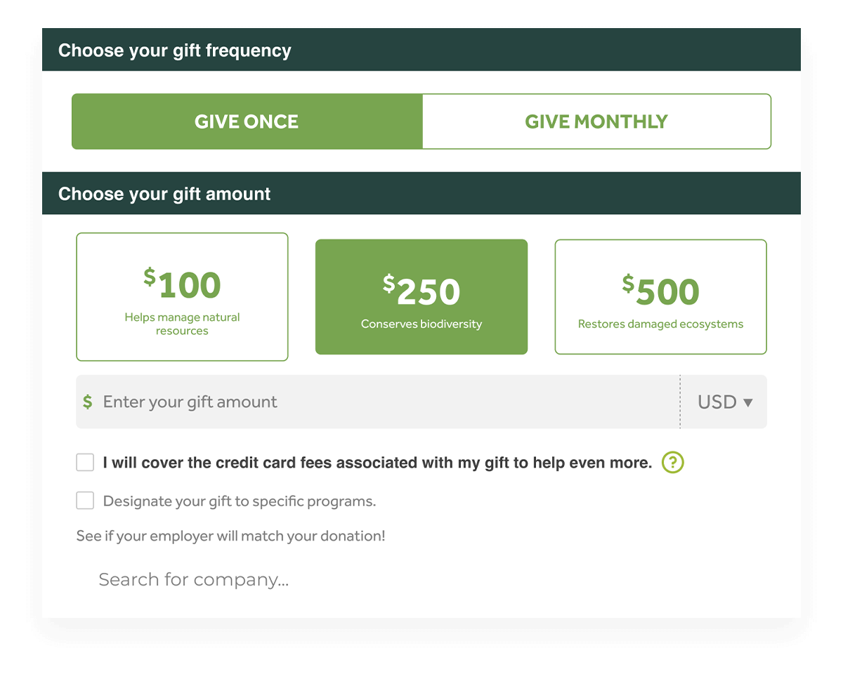 250602 Ffz Website Updates Features And Benefits Amounts And Frequency V1