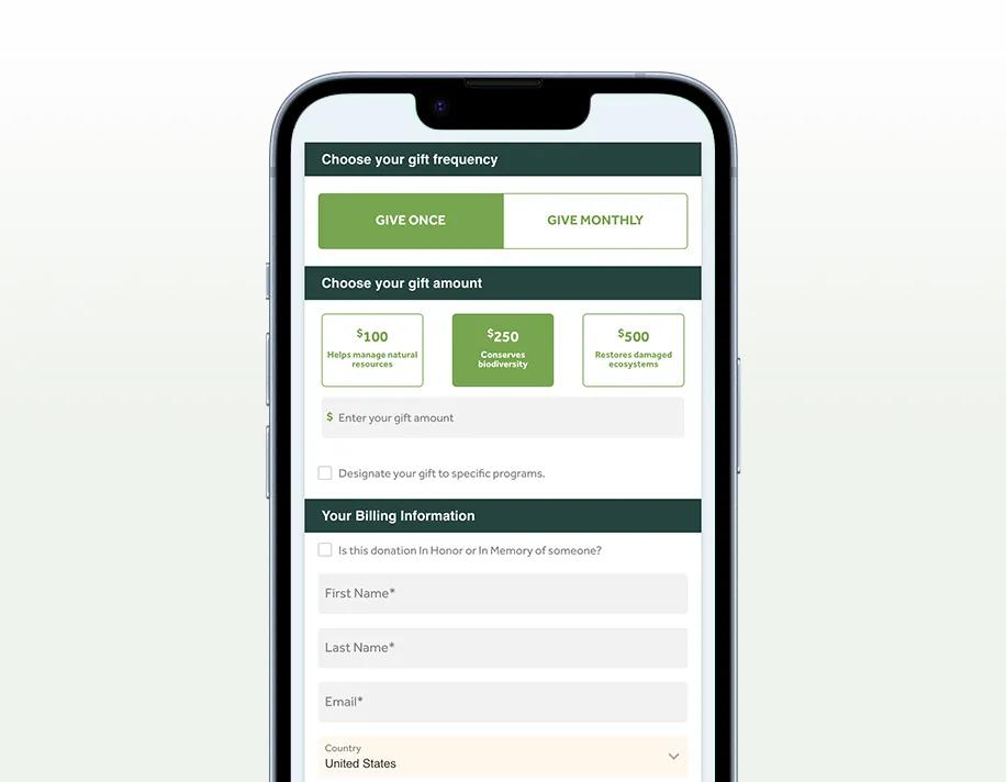 High Converting Fundraising Orms